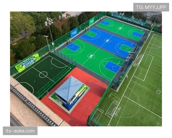 CBA“篮球公园”项目新增三座城市球场，推动民间篮球发展